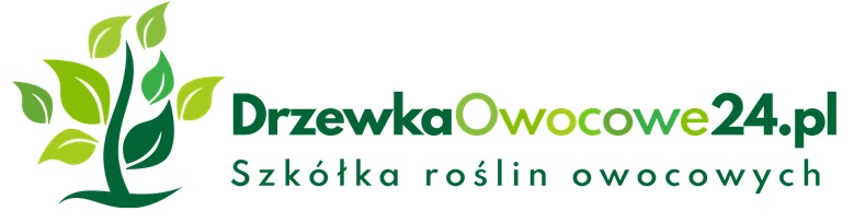 DrzewkaOwocowe24.pl